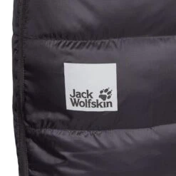 Jack Wolfskin 1995 SERIES DOWN PANTS Unisex - Winterhose -Globetrotter 5637969508 f 1995 series down pants jack wolfskin 24