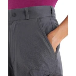 Icebreaker WOMEN HIKE PANTS Damen - Trekkinghose -Globetrotter 5638008787 e women hike pants icebreaker 24