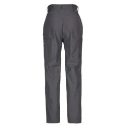 Icebreaker WOMEN HIKE PANTS Damen - Trekkinghose -Globetrotter 5638008787 k women hike pants icebreaker 24